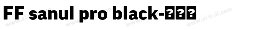 FF sanul pro black字体转换
